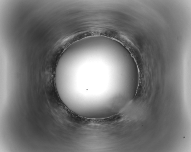 X0000086990773200704301337