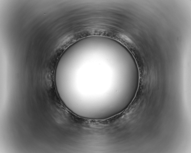 X0000086990774200704301337