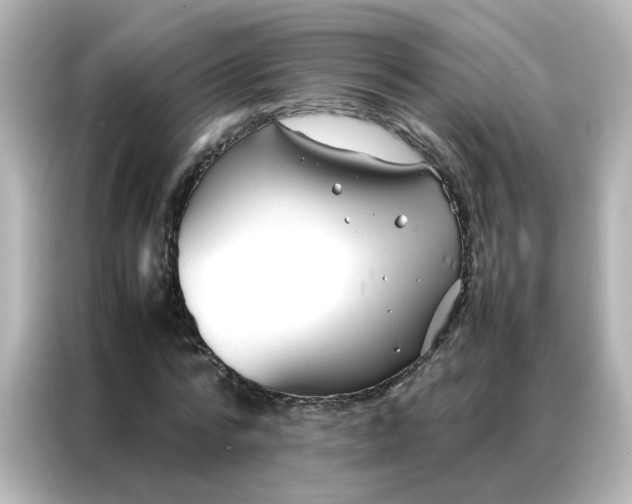 X0000086990776200704301337