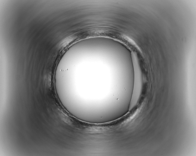 X0000086990777200704301337