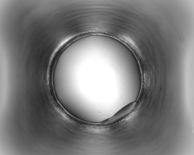 X0000086990780200704301337