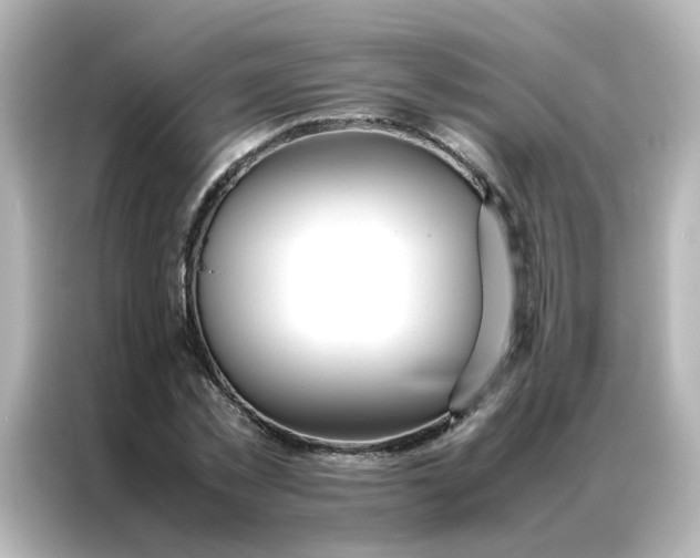 X0000086990781200704301337