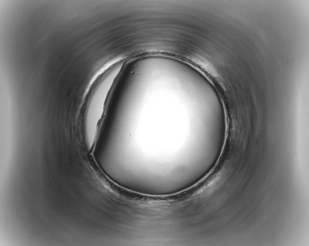 X0000086990782200704301337