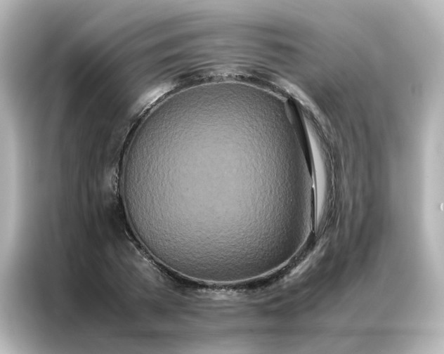 X0000086990785200704301337