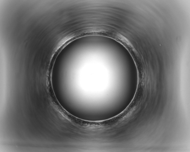 X0000086990786200704301337