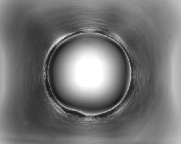 X0000086990787200704301337