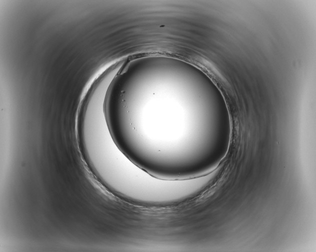 X0000086990788200704301337