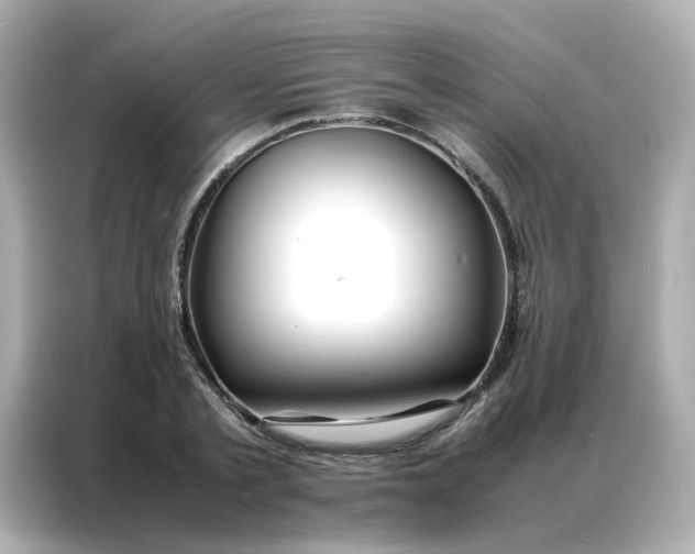 X0000086990789200704301337