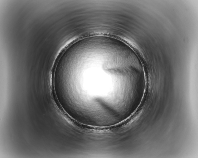 X0000086990790200704301336