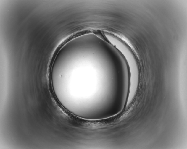 X0000086990791200704301336