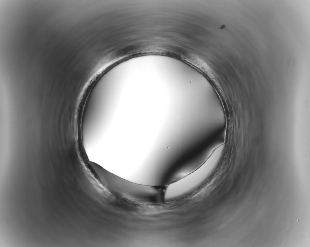 X0000086990795200704301336