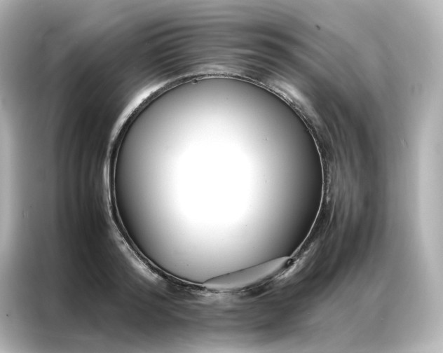 X0000086990796200704301336