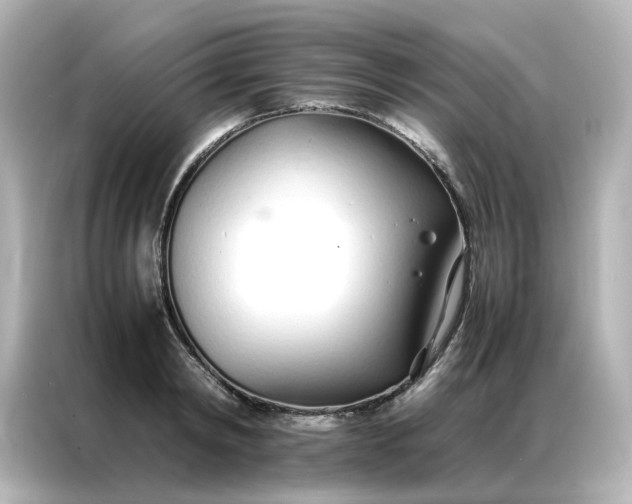 X0000086990798200704301336