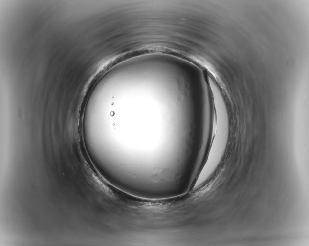 X0000086990799200704301336