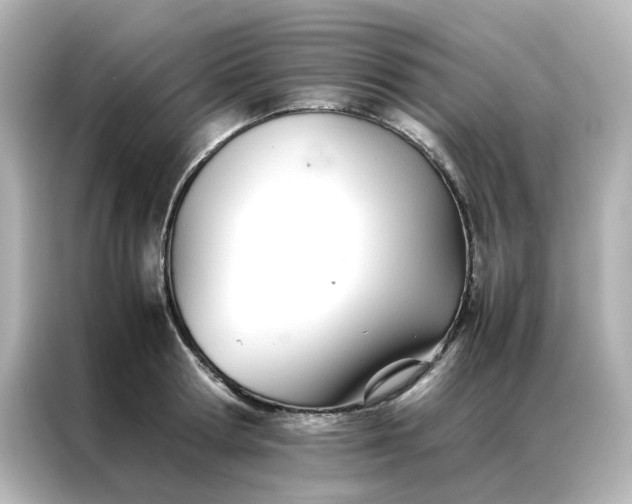 X0000086990802200704301336