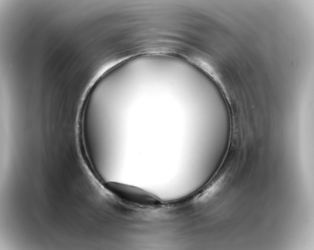 X0000086990803200704301336