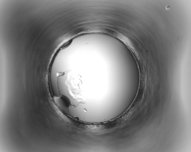 X0000086990805200704301336