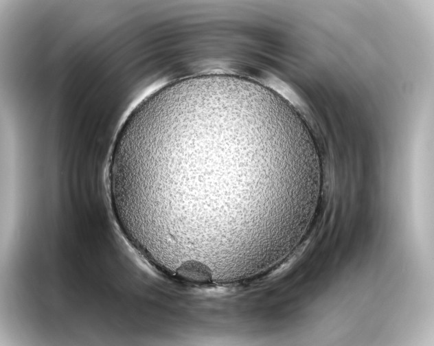 X0000086990806200704301336