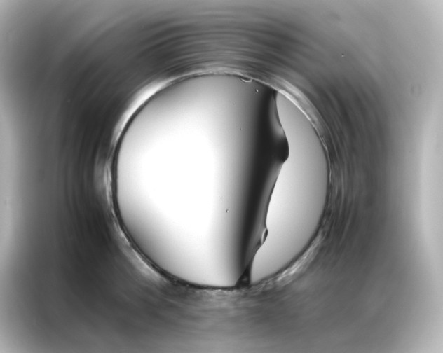 X0000086990812200704301336