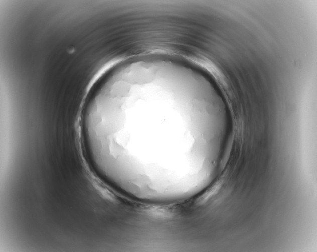 X0000086990814200704301336