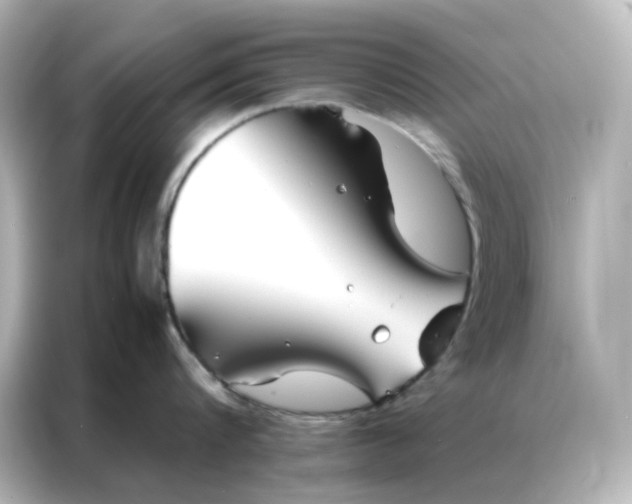 X0000086990816200704301336