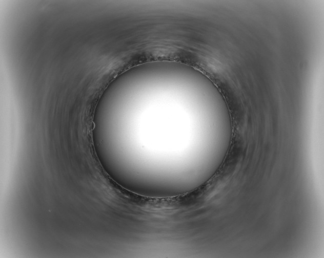 X0000086990817200704301336