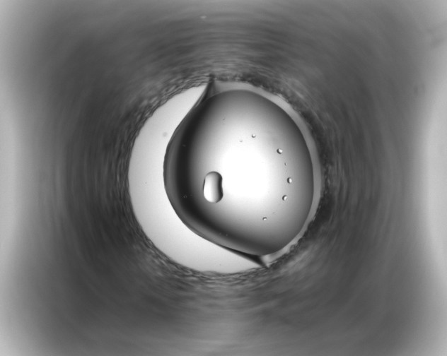 X0000086990818200704301336