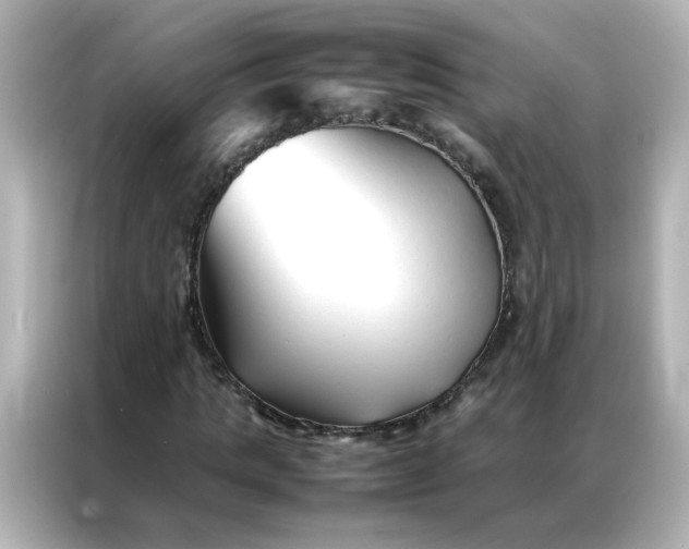 X0000086990821200704301336