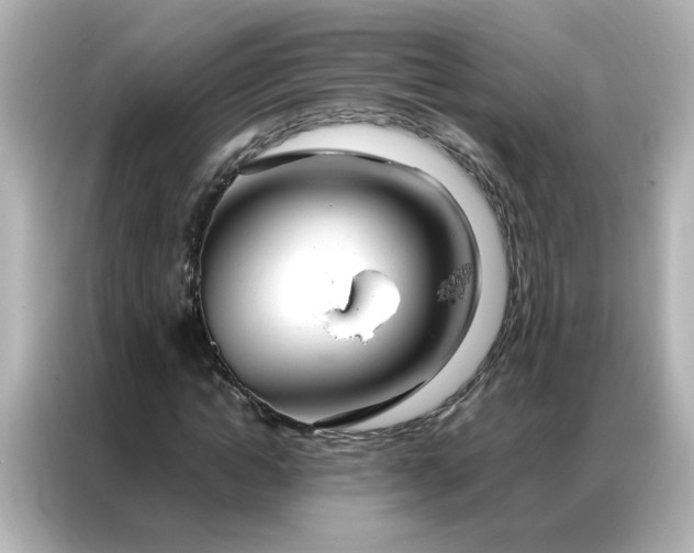 X0000086990822200704301336