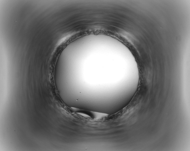 X0000086990823200704301336