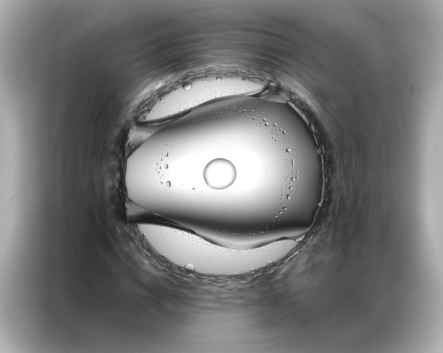 X0000086990824200704301336