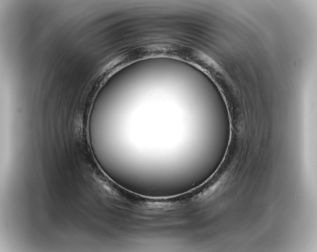 X0000086990825200704301336