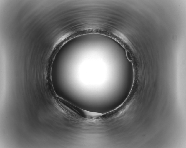 X0000086990826200704301336