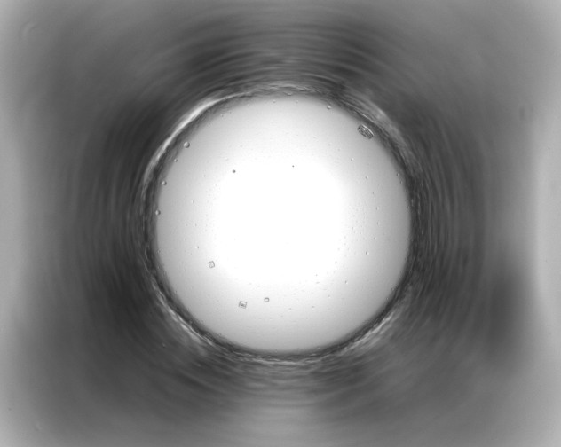 X0000086990828200704301336