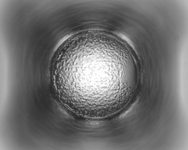 X0000086990829200704301336