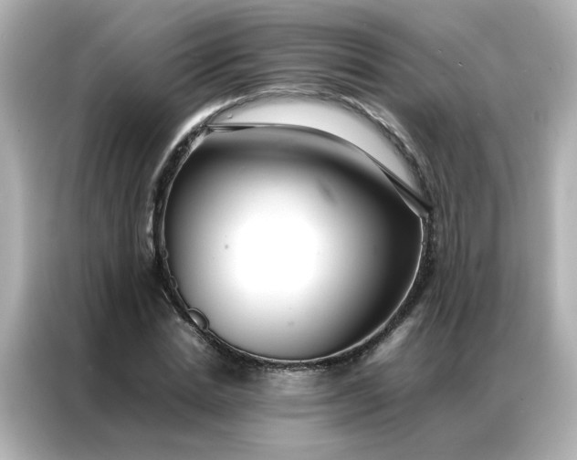 X0000086990830200704301336