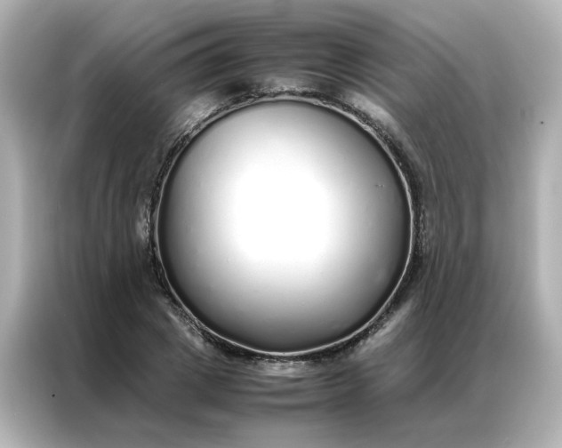 X0000086990833200704301336