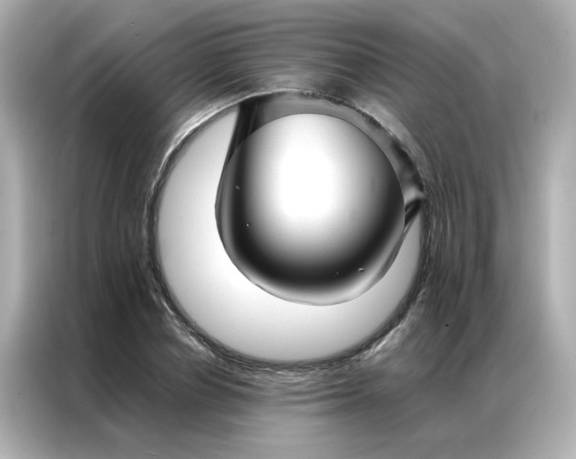 X0000086990834200704301336