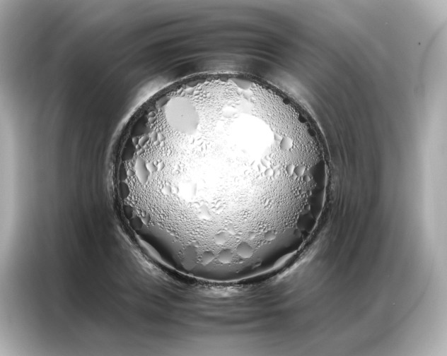 X0000086990835200704301336