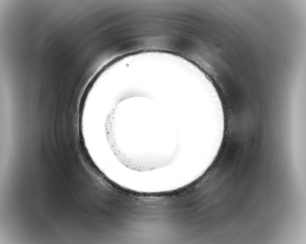 X0000086990836200704301336