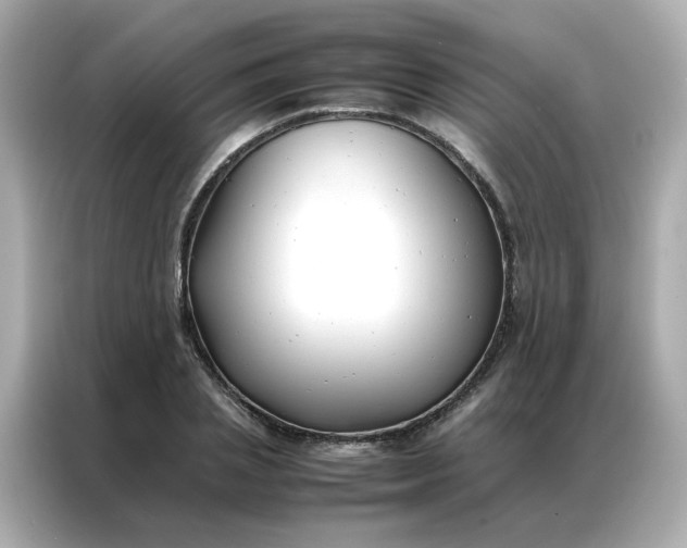 X0000086990837200704301336