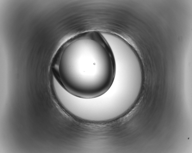 X0000086990838200704301336