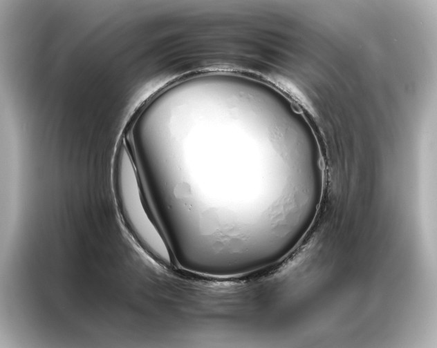 X0000086990839200704301336