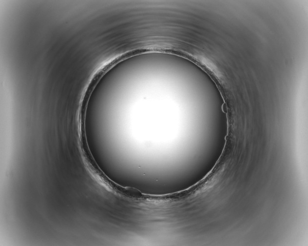 X0000086990840200704301336