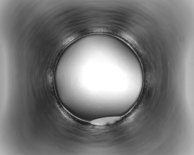 X0000086990841200704301336