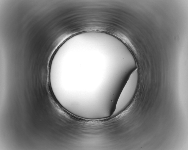 X0000086990844200704301336