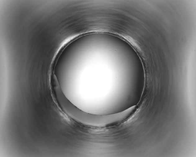 X0000086990846200704301336