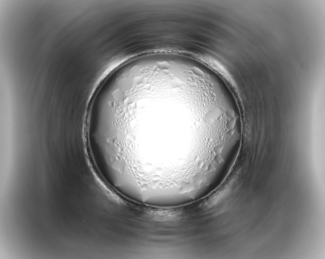 X0000086990847200704301336