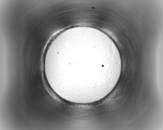 X0000086990848200704301336