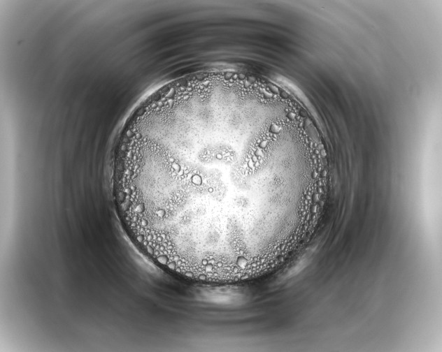 X0000086990851200704301336